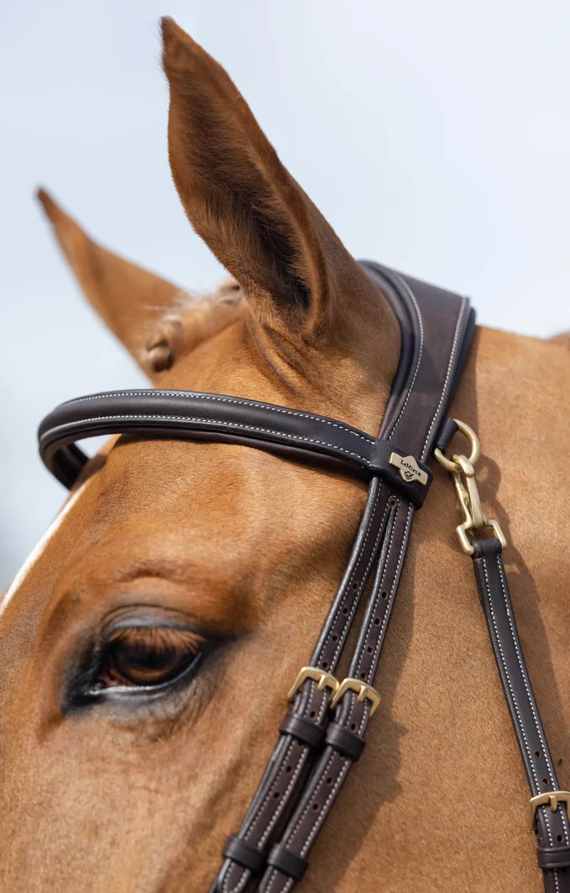 LeMieux Kudos Work Bridle in Brown -2